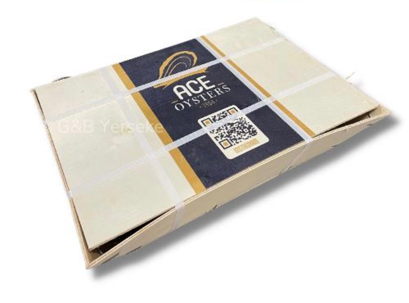 Oesters Ace nr3 12st