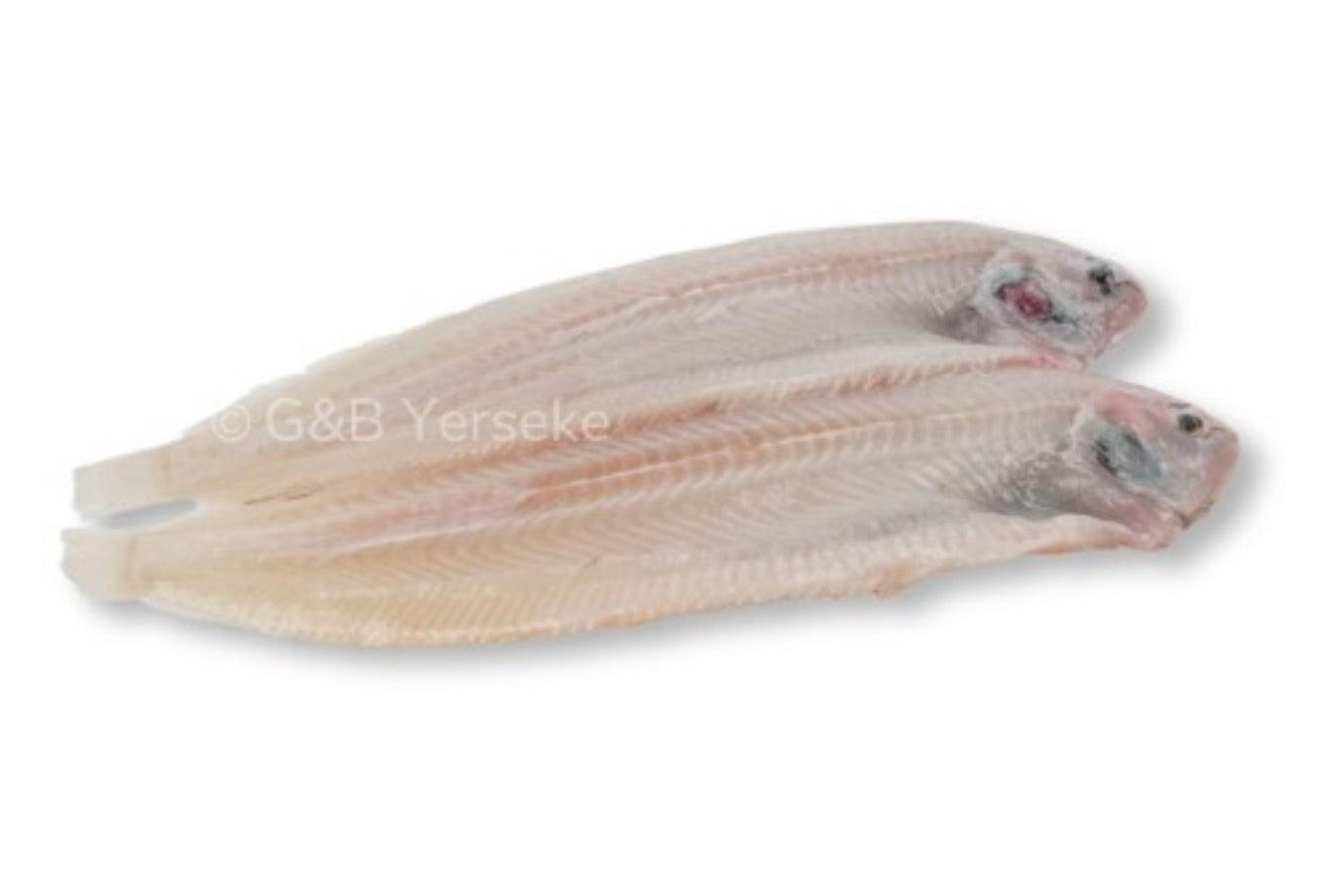 Noordzee tong 180-220gr. Pakje 2st.